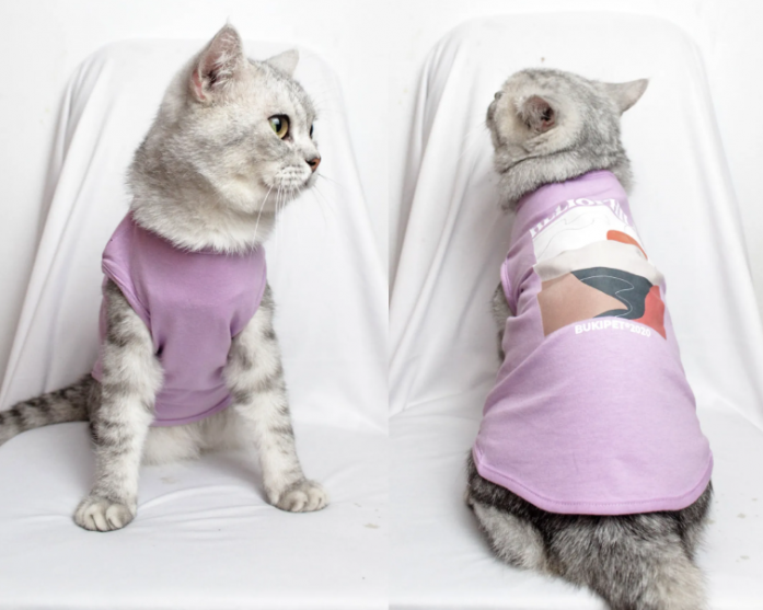 25 Desain Baju untuk Kucing Lucu - Desain id